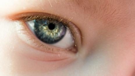 Гърдите и кърменето - началото