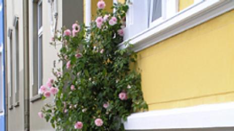 Трафик и стрес - опасни за сърцето