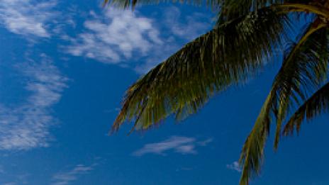 Планирайте лятото