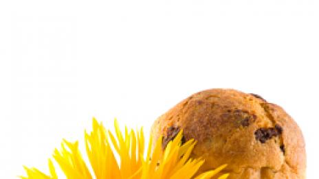 Спасете козунака