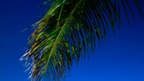 Дъждове и тайфуни ще изтезават сървайвъри