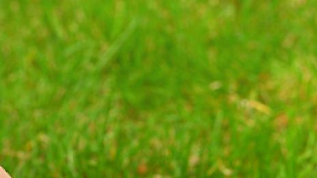 Мъничко, жълтичко и страшно полезно