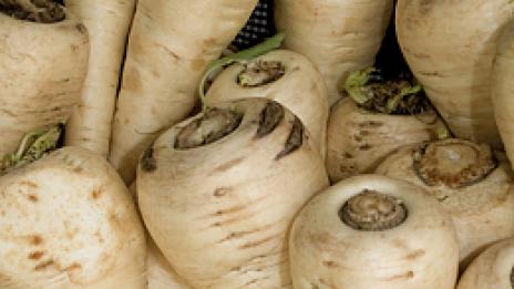 Полезният братовчед на моркова