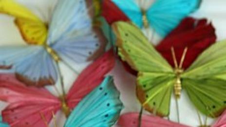 Пеперуден дом