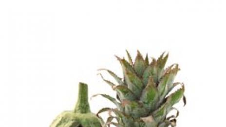 Вегетарианството има антиканцерогенно действие