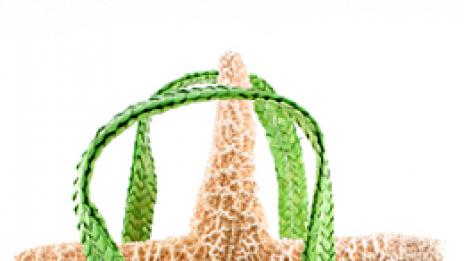 Стягайте багажа - спечелихте си морско приключение