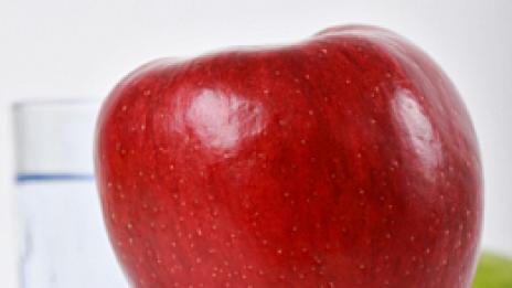 Slim Data – цветове за отслабване