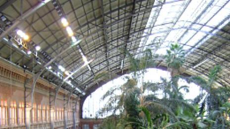 На гарата, под палмите, при костенурките