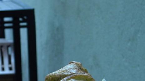 Спаначени био бухтички