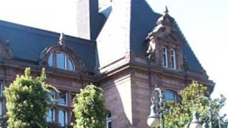 Хайделбергски (романтични) дневници