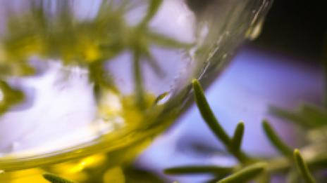 Розмариново чудо против мигрена