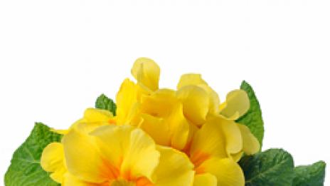 Слънчево и топло против есенно мрънкане