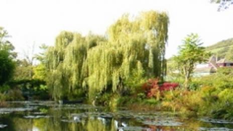 Триизмерен импресионизъм - градината на Клод Моне