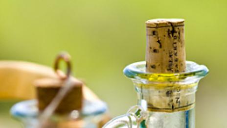 Звездно безумие за отслабване