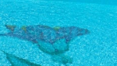 Водни упражнения - част 1