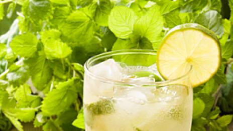 Мохито за нежни ръце