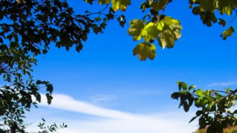 В пълна хармония. Плитвичките езера