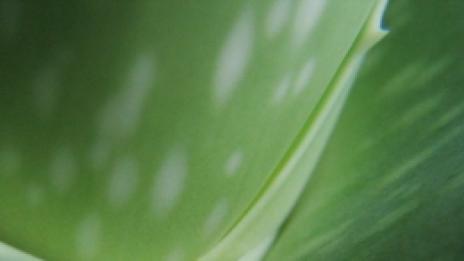 Най-добрата компания за сън