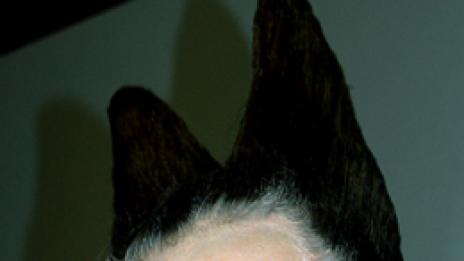 Нищо друго, освен Alexander McQueen