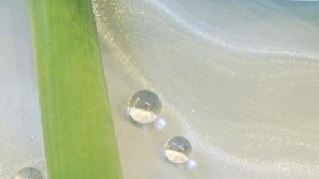 Нобелова награда в кутийка крем