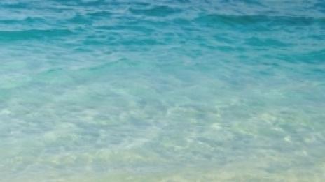 Позитивното мислене ни пази от болести (Part 2)