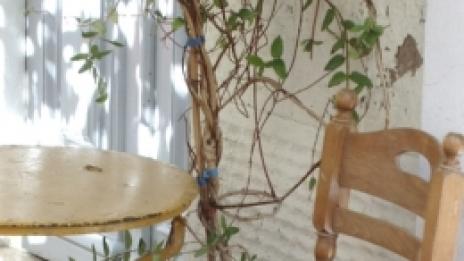 Всички искаме сиеста!