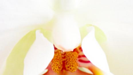 Грижа за женското здраве – поне веднъж годишно