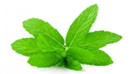 Ментова целувка по бузата