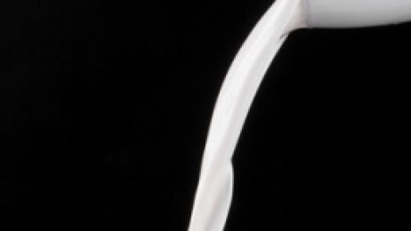 Калцият удължава живота