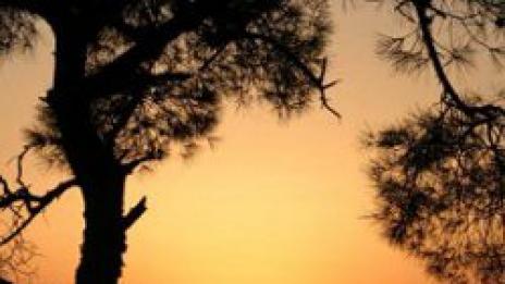 Принцовите острови - максимален отдих на минимално разстояние