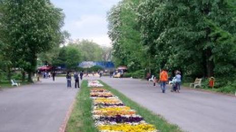 Зелен остров в средата на града