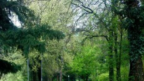 Приказна гора на пет минути от града