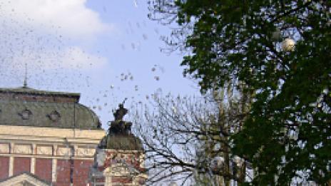 С поглед нагоре, на връщане от работа