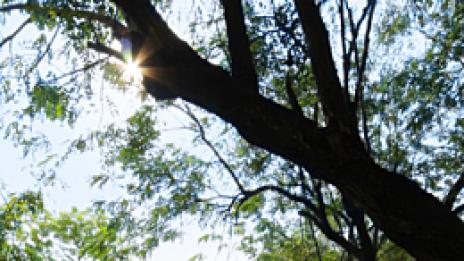 Още, още кислород