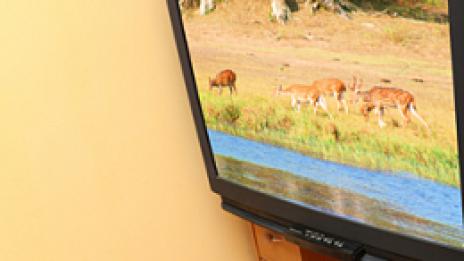 Телевизията - доказано вредна за децата