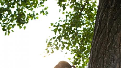 Работа в почивен ден. Възстанови хармонията