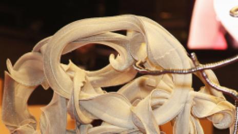 Лариса Кетц: постмодерният дизайнер