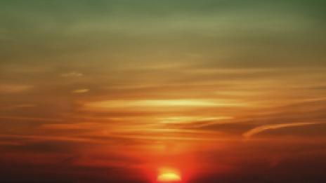 Цветни полета. Цветни мечтания