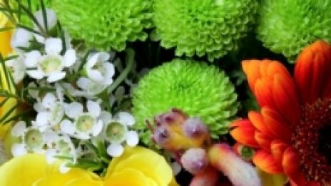 Кое е любимото ви цвете?
