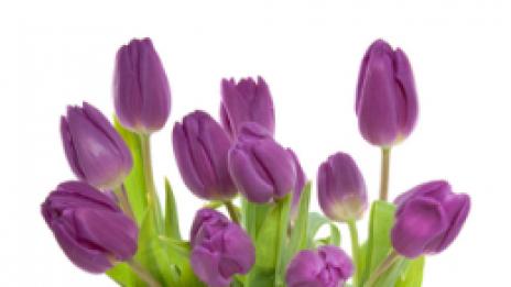 Виолетови въздействия