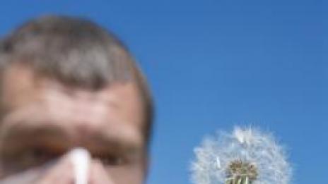 Пробиотичното кисело мляко ще ви избави от сенната хрема