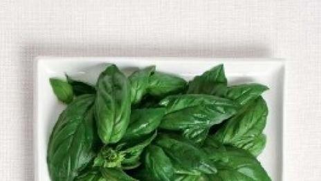 Предястия като за Световно(то)