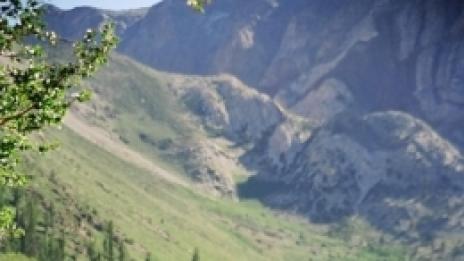 Изненада. И мъжете страдали от менопауза