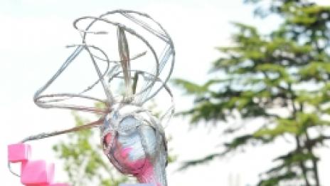 Ето ги и тях: английските кралски шапки 2010