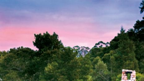 Хотел на върха на дървото