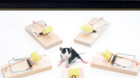 Демотивирай се. За да се посмееш