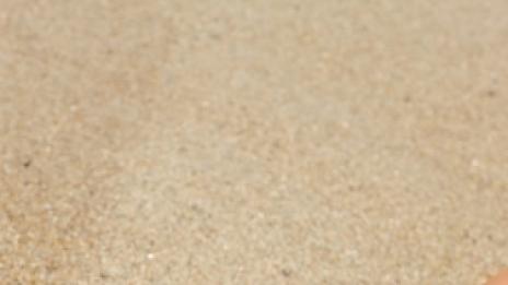 Спете дълго, за да живеете дълго