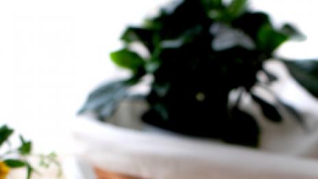 Предпазвайте се от остеопороза естествено