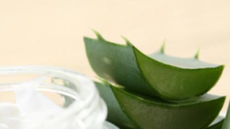 Алое вера против слънчево изгаряне