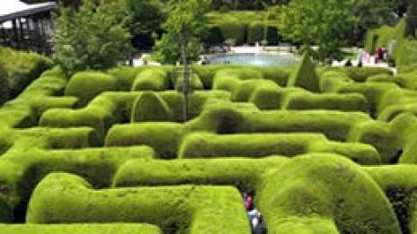 В сърцето на лабиринта